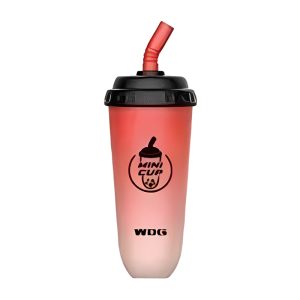 WDG Mini Cup Wegwerpvape 5000 Rookwolken - Watermeloenijs