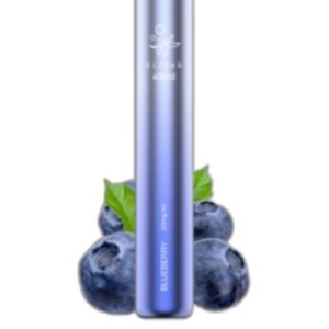 ELF BAR 600V2 Disposable Blueberry 600 trekjes 2 ml