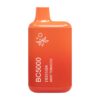 ELF BAR BC5000 Disposable 5000 trekjes Mint Tobacco